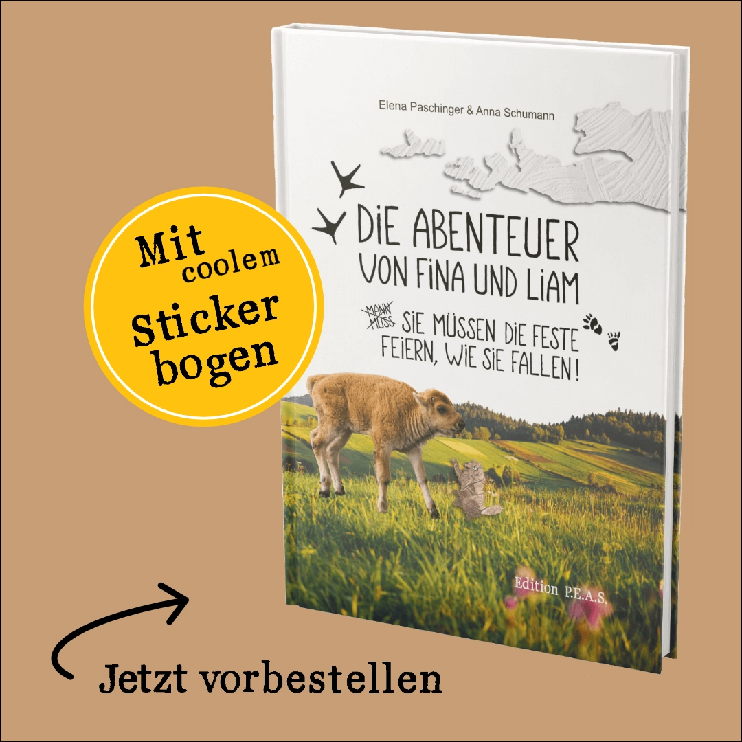 Kinderbuch: Die Abenteuer von Fina und Liam, BAND 2, mit Stickerbogen